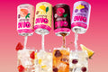 Fibre Soda mišrus rinkinys — 4 skoniai