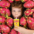Dragonfruit Mood Bubble Tea